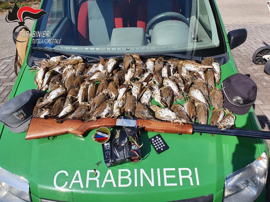 Crema News - Richiamo illegale, 1549 euro di multa