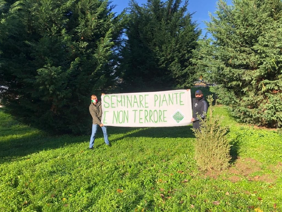 Crema News - Festa dell'albero