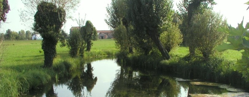 Crema News - Fogne ad Azzano, la risposta