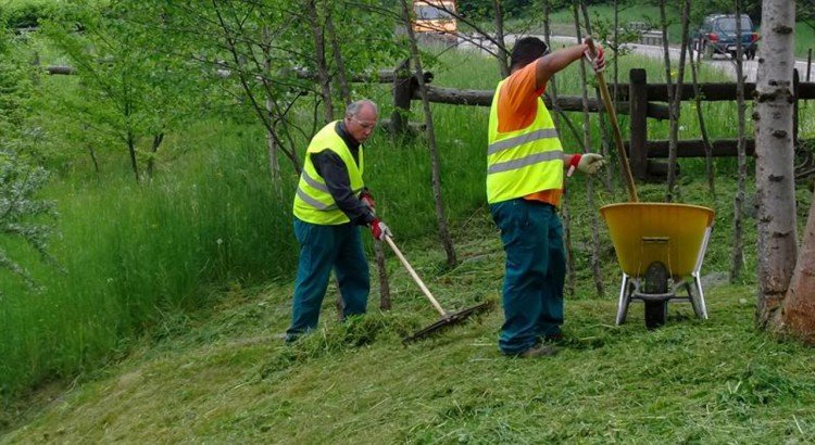 Crema News - Reddito di cittadinanza e lavori utili