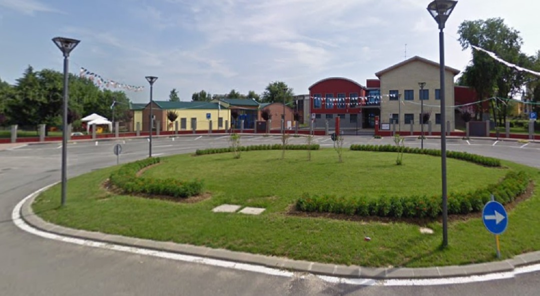 Crema News - Alberi con la memoria