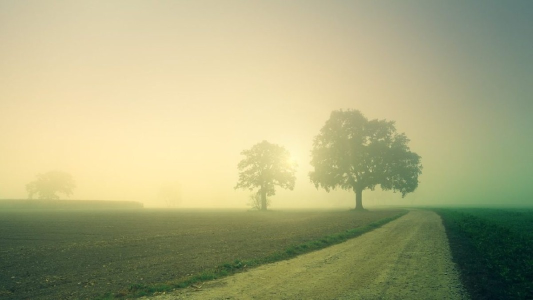 Crema News - Un po' di nebbia