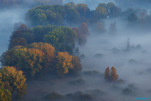 Crema News - Un po' di nebbia