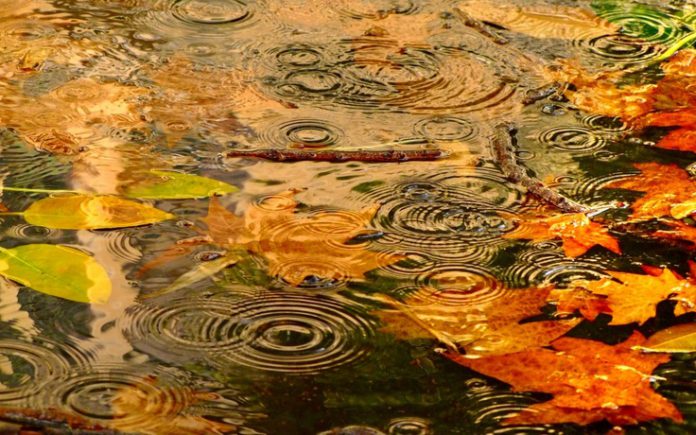 Crema News - Ancora pioggia