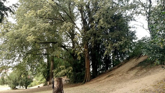 Crema News - A passeggio nel parco Bonaldi