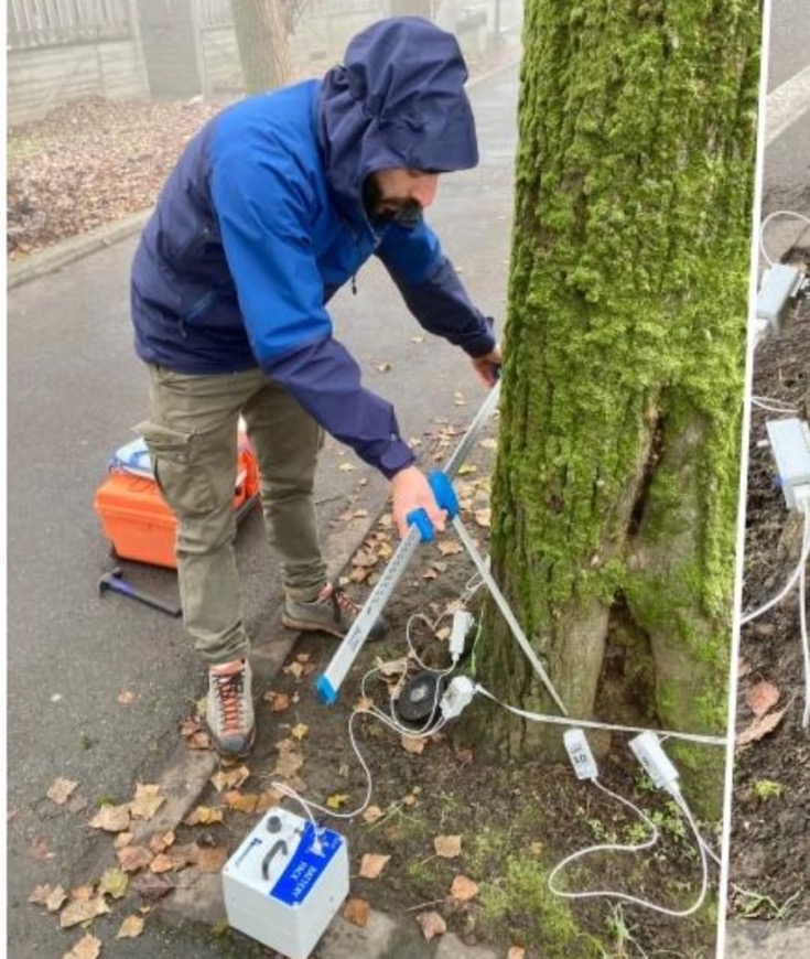 Crema News - A Madignano si controllano gli alberi
