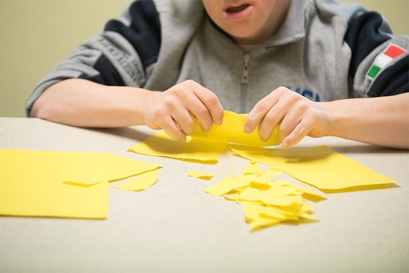 Crema News - Diversi, ma ugualmente con le mani in pasta