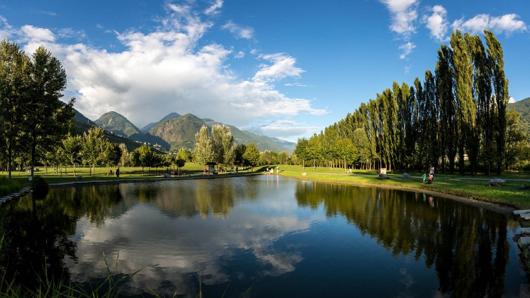 Crema News - Il parco Adda sud cerca terreni