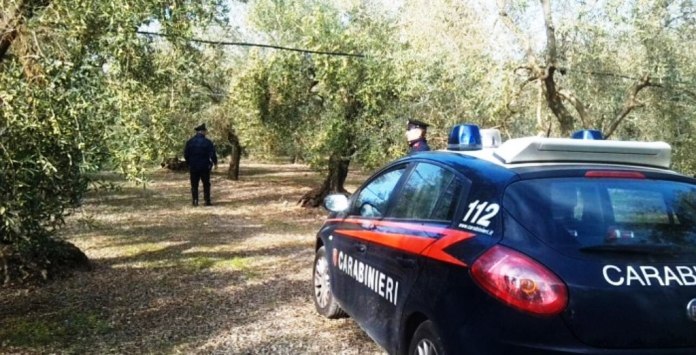 Crema News - Trovato morto