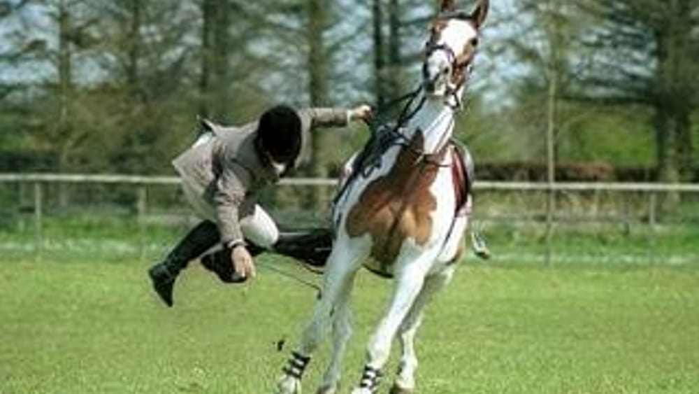 Crema News - Cade da cavallo, arriva l'elisoccorso