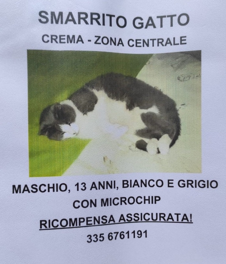 Crema News - Perso