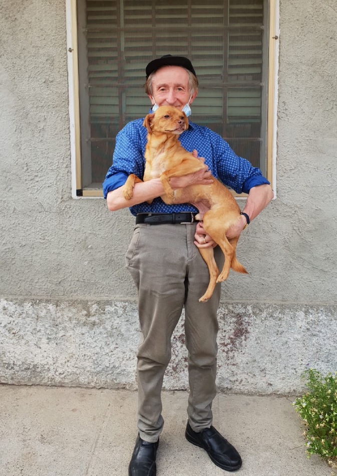 Crema News - Una casa tutta per Willy