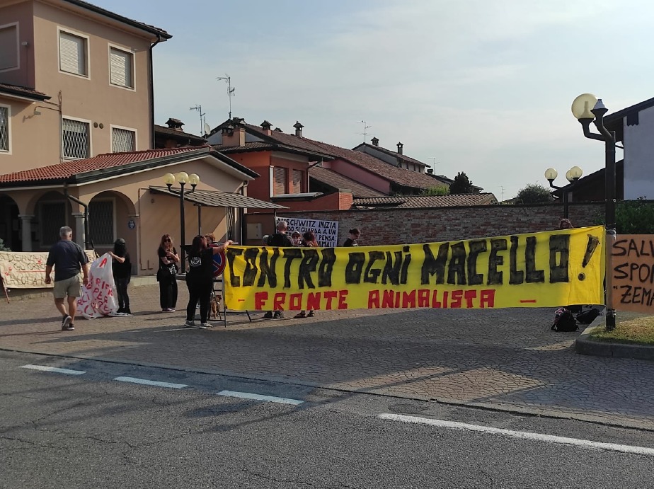 Crema News - Protesta davanti al macello