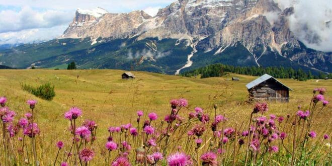 Crema News - Sempre belle giornate