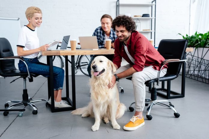 Crema News - In ufficio col cane