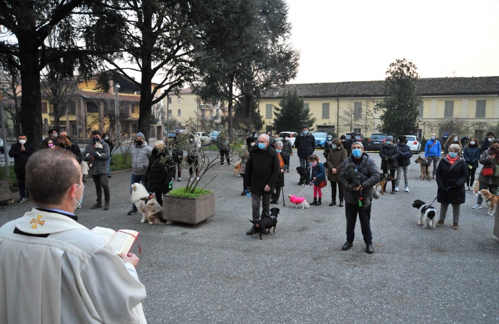 Crema News - Siano benedetti i nostri animali