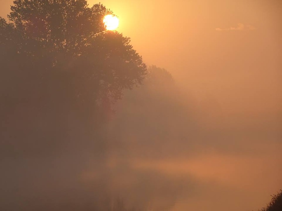 Crema News - Un po' di nebbia