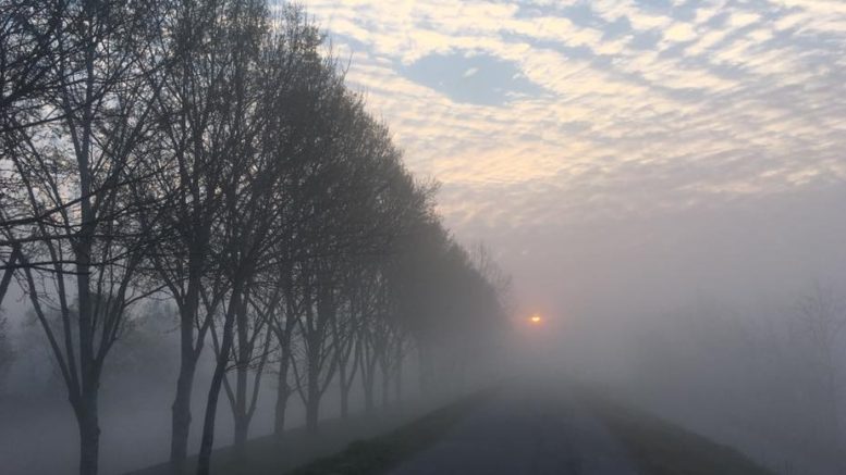 Crema News - Ritorna la nebbia