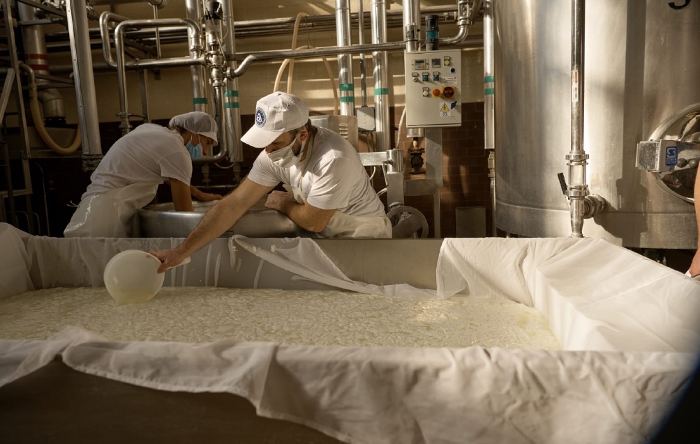 Crema News - La Casearia si fa in quattro