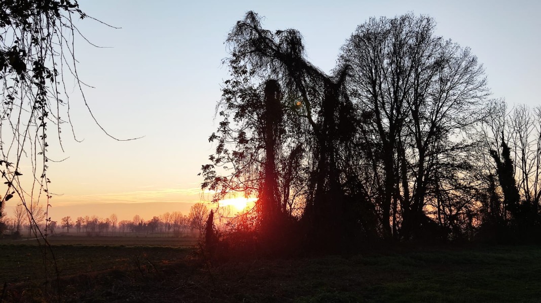 Crema News - Torna un po' di sole