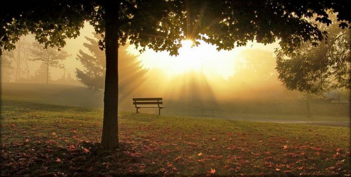 Crema News - Nebbia fino al mattino