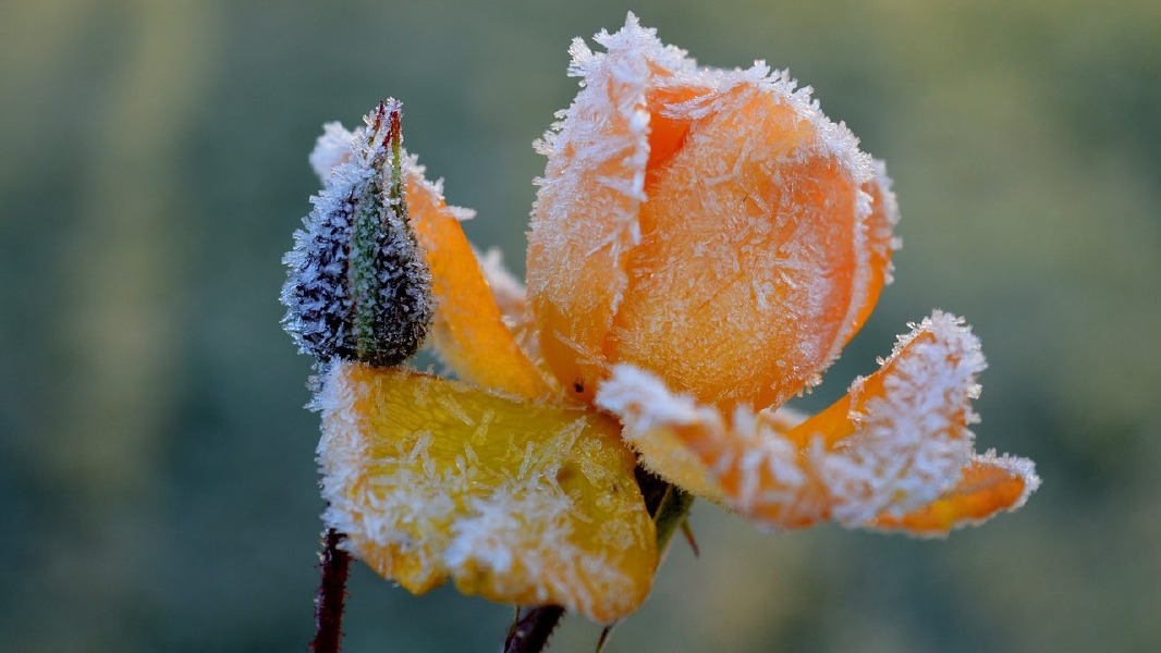 Crema News - Sole, ma freddo