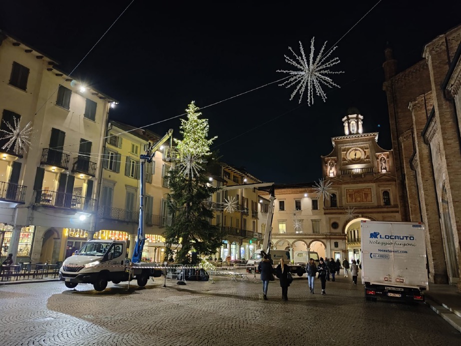 Crema News - Un albero un po’ così