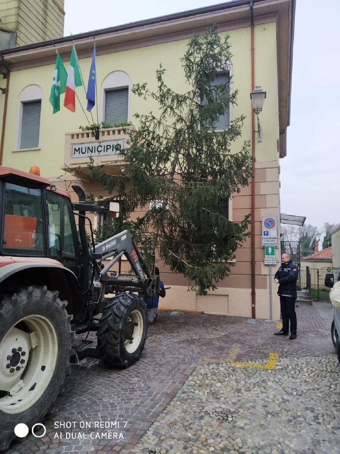 Crema News - I commercianti illuminano il Natale