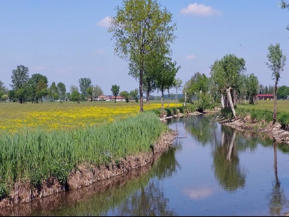 Crema News - Ripopoliamo il Tormo