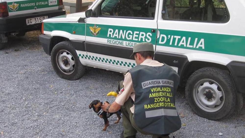 Crema News - Rangers, al centro l'ambiente