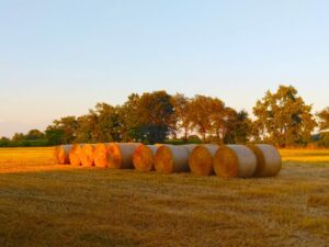 Crema News - Ancora caldo