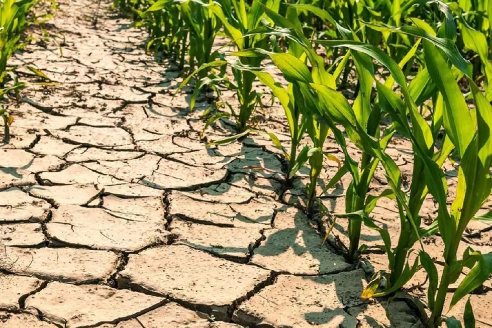 Crema News - Più acqua per l'agricoltura