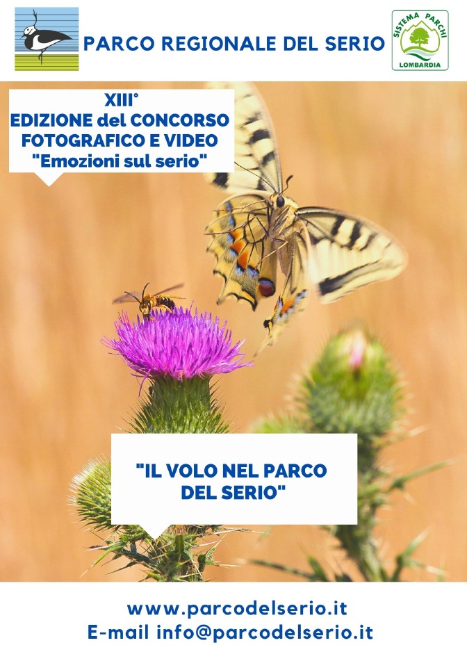 Crema News - Emozioni sul Serio, il concorso