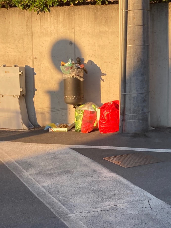 Crema News - Cestino discarica