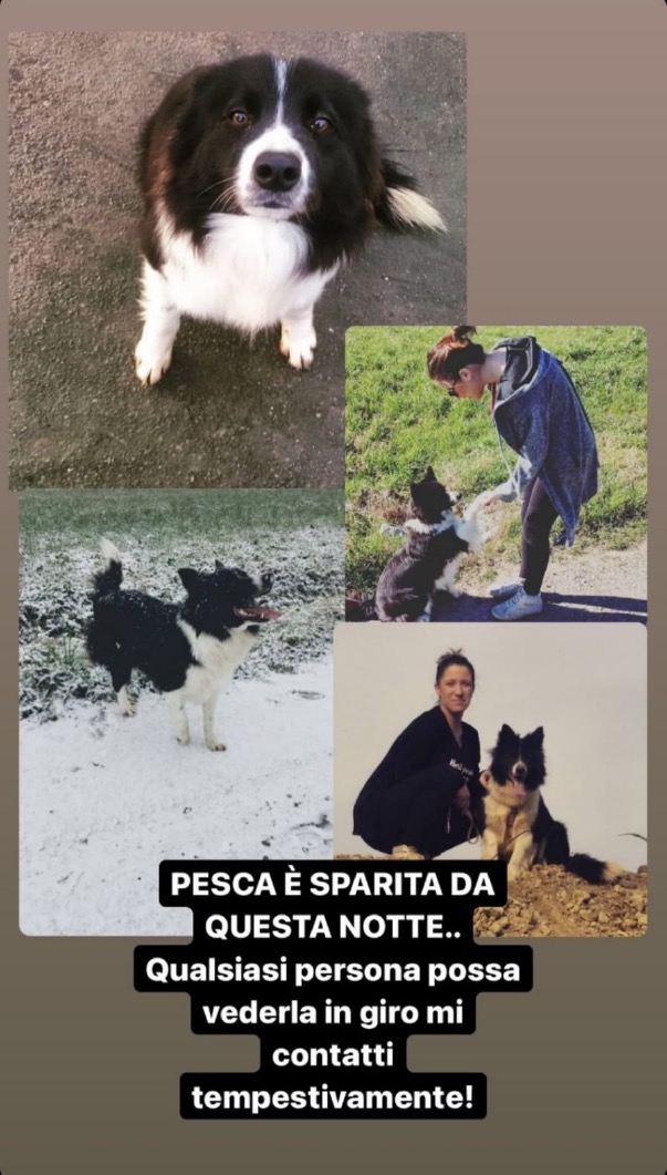 Crema News - Pesca è stata rubata