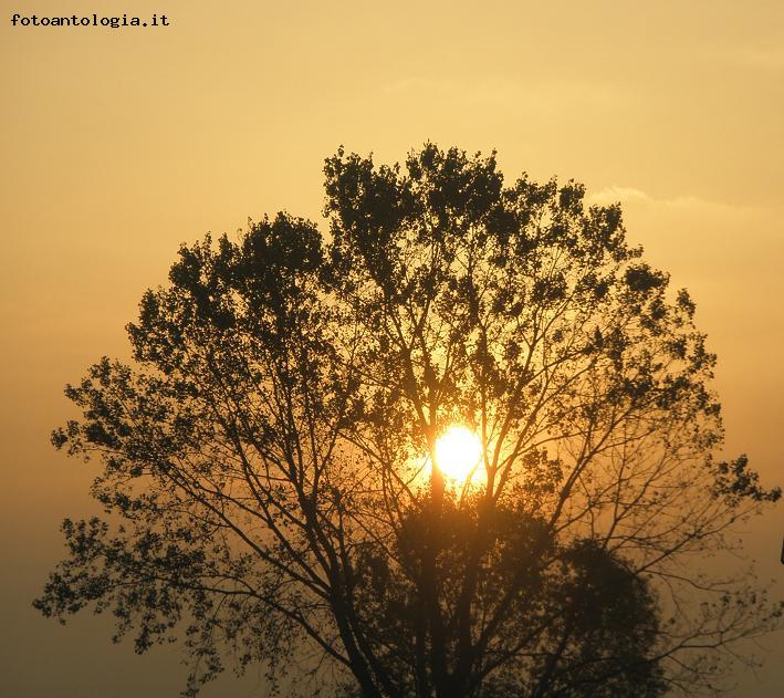Crema News - Ritorna il sole