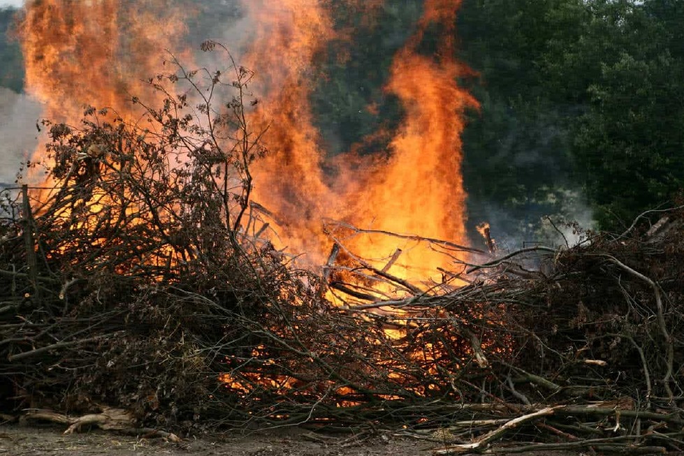 Crema News - Incendi dolosi alla scuola di Cl