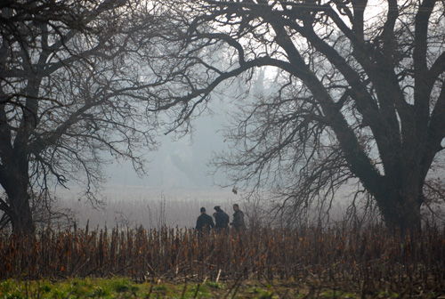 Crema News - Dalla nebbia alla pioggia