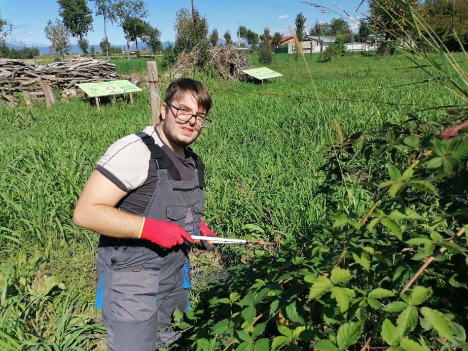 Crema News - Servizio civile al parco del Serio