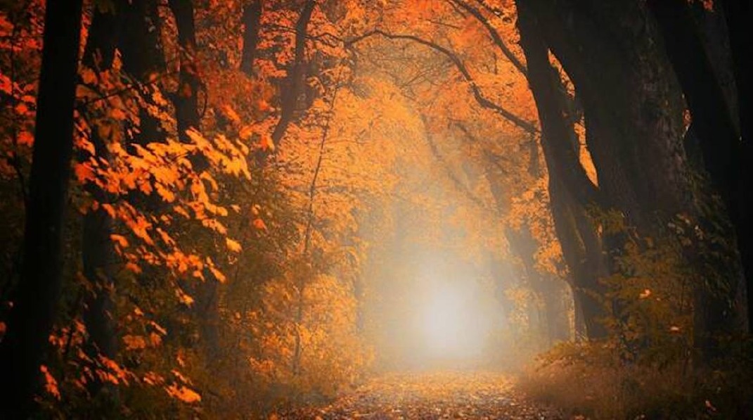 Crema News - Dalla nebbia al sole