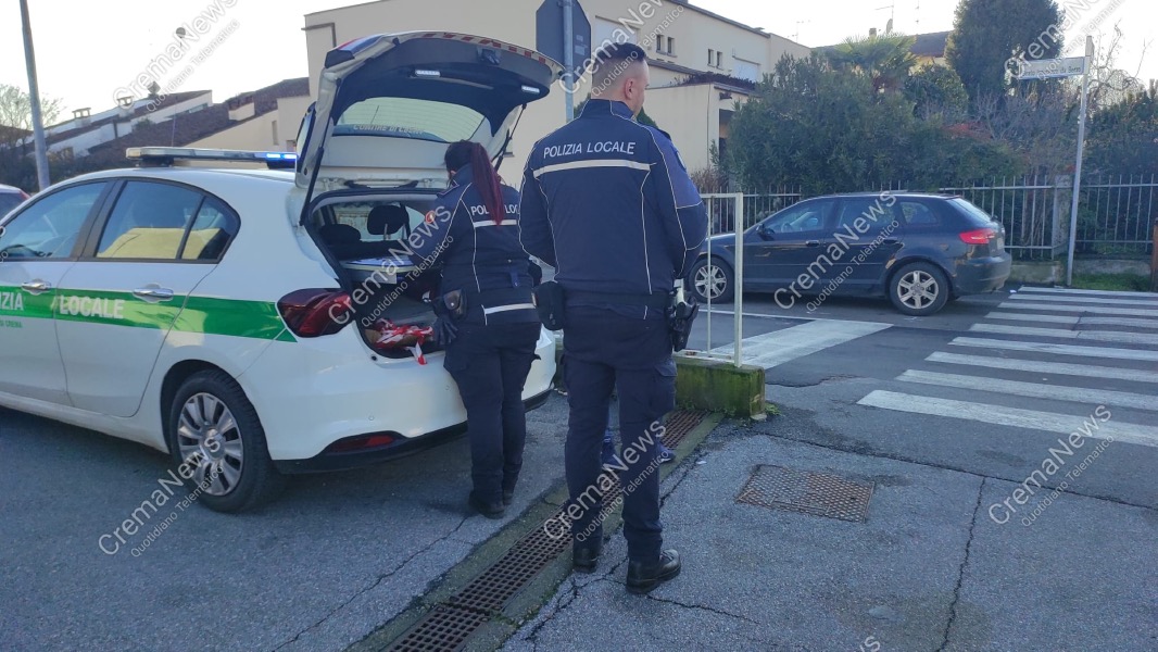 Crema News - Investita una 75enne