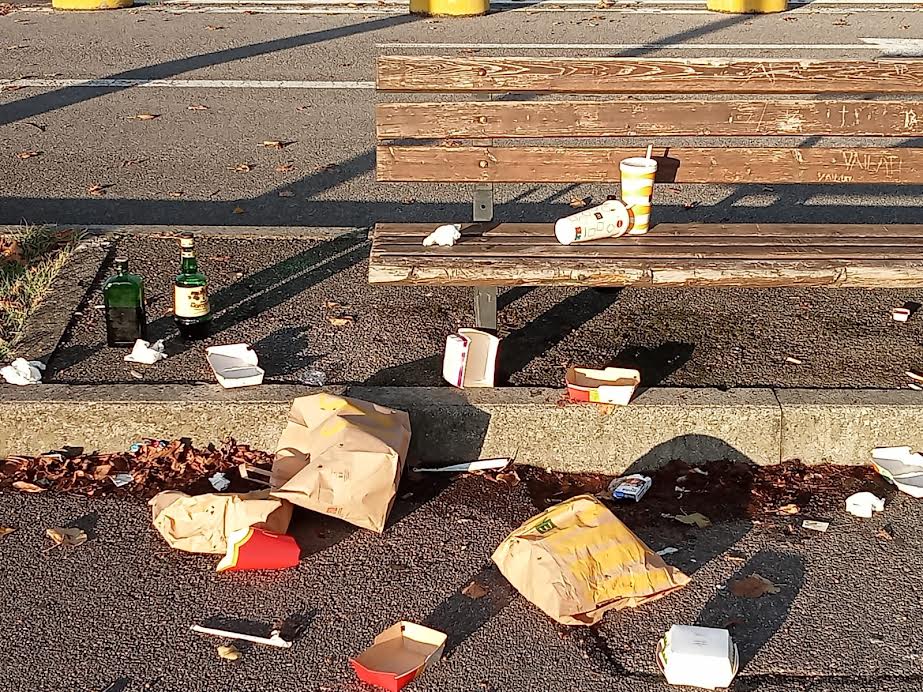 Crema News - Pieranica - Maleducati al cimitero