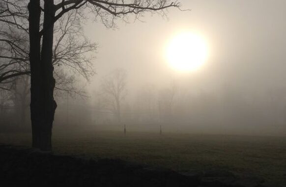 Crema News - Nebbia e sole