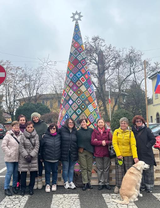 Crema News - Spino d'Adda - Albero di lana