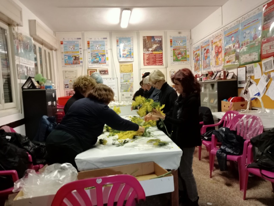 Crema News - Mimose per le donne