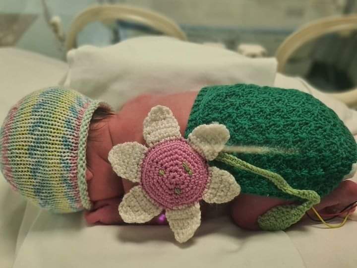 Crema News - Benvenuti, piccoli