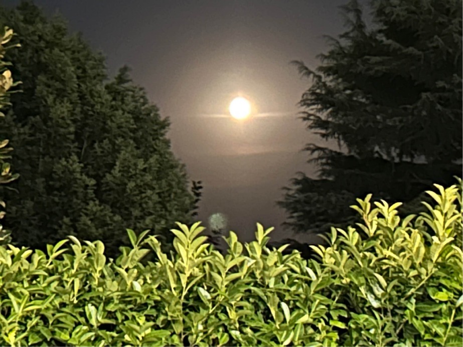Crema News - Nulla di nuovo sotto il sole