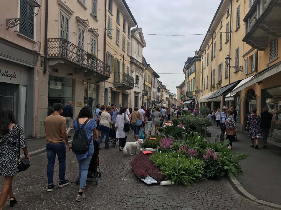 Crema News - Crema - Fiori e sapori
