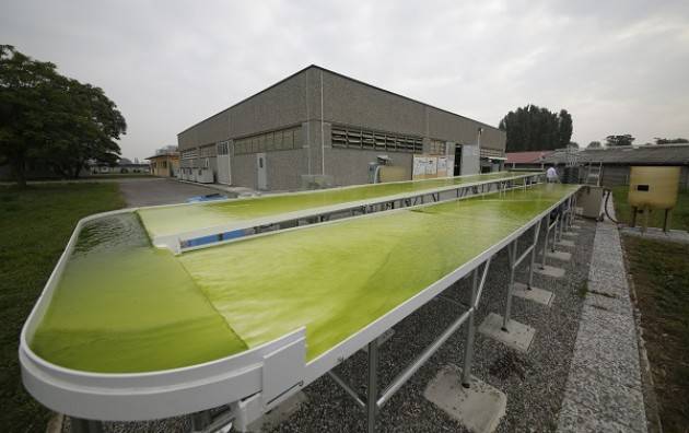 Crema News - Rivolta d'Adda - Mancano 100mila euro