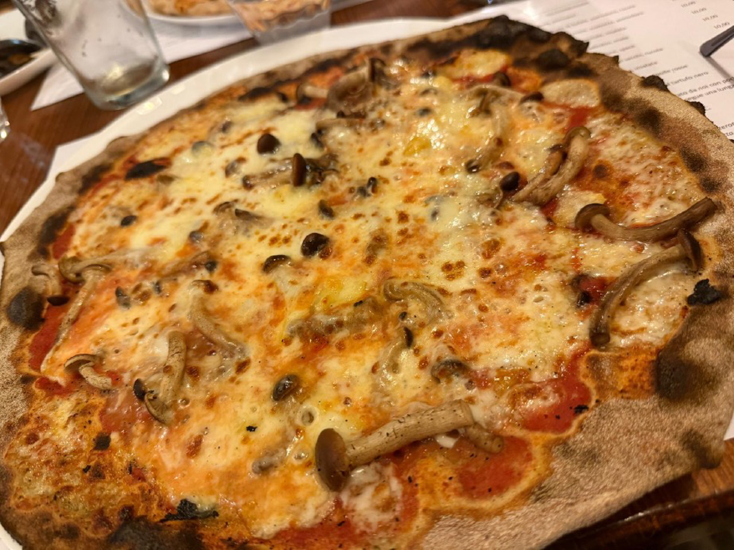 Crema News - Crema - Funghi, un corso, due incontri